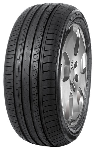 205 r16 91v minerva f209 - 205/55,
